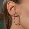 Harmonia - Image 2